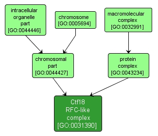 GO:0031390 - Ctf18 RFC-like complex (interactive image map)