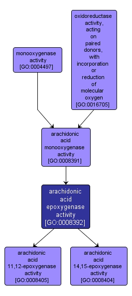GO:0008392 - arachidonic acid epoxygenase activity (interactive image map)