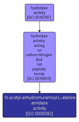 GO:0009392 - N-acetyl-anhydromuramoyl-L-alanine amidase activity (interactive image map)