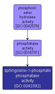 GO:0042392 - sphingosine-1-phosphate phosphatase activity (interactive image map)