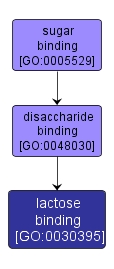 GO:0030395 - lactose binding (interactive image map)