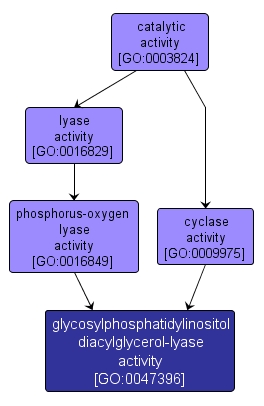 GO:0047396 - glycosylphosphatidylinositol diacylglycerol-lyase activity (interactive image map)