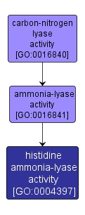 GO:0004397 - histidine ammonia-lyase activity (interactive image map)