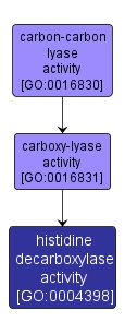 GO:0004398 - histidine decarboxylase activity (interactive image map)