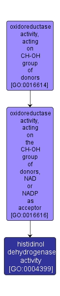 GO:0004399 - histidinol dehydrogenase activity (interactive image map)
