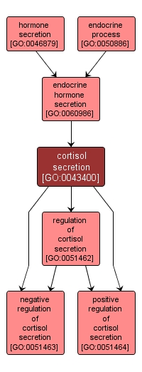 GO:0043400 - cortisol secretion (interactive image map)