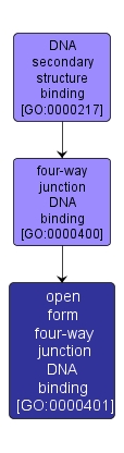 GO:0000401 - open form four-way junction DNA binding (interactive image map)