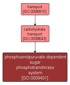 GO:0009401 - phosphoenolpyruvate-dependent sugar phosphotransferase system (interactive image map)