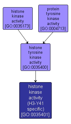 GO:0035401 - histone kinase activity (H3-Y41 specific) (interactive image map)