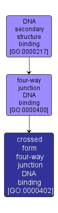 GO:0000402 - crossed form four-way junction DNA binding (interactive image map)