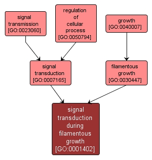 GO:0001402 - signal transduction during filamentous growth (interactive image map)