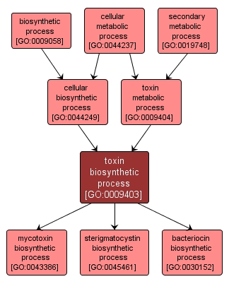 GO:0009403 - toxin biosynthetic process (interactive image map)