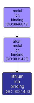 GO:0031403 - lithium ion binding (interactive image map)
