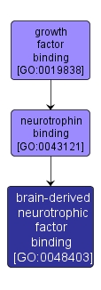 GO:0048403 - brain-derived neurotrophic factor binding (interactive image map)