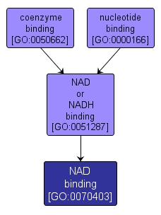GO:0070403 - NAD binding (interactive image map)