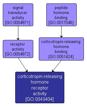 GO:0043404 - corticotropin-releasing hormone receptor activity (interactive image map)