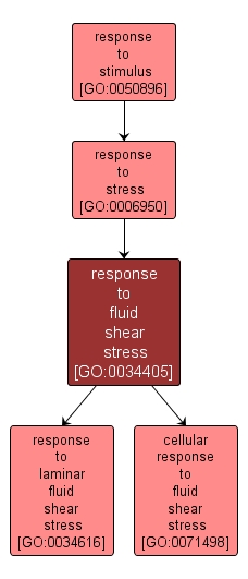 GO:0034405 - response to fluid shear stress (interactive image map)