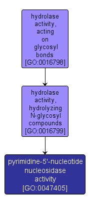 GO:0047405 - pyrimidine-5'-nucleotide nucleosidase activity (interactive image map)