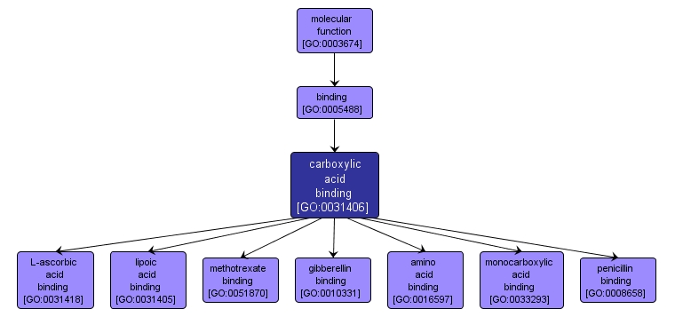 GO:0031406 - carboxylic acid binding (interactive image map)