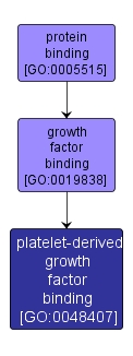 GO:0048407 - platelet-derived growth factor binding (interactive image map)