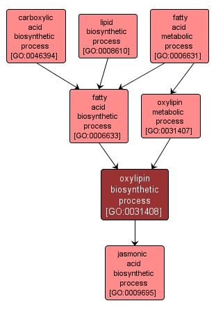 GO:0031408 - oxylipin biosynthetic process (interactive image map)