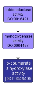 GO:0046409 - p-coumarate 3-hydroxylase activity (interactive image map)