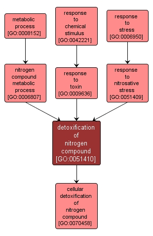 GO:0051410 - detoxification of nitrogen compound (interactive image map)