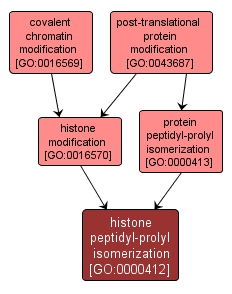 GO:0000412 - histone peptidyl-prolyl isomerization (interactive image map)