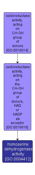 GO:0004412 - homoserine dehydrogenase activity (interactive image map)