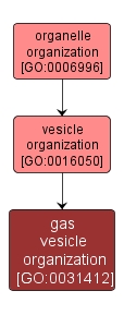GO:0031412 - gas vesicle organization (interactive image map)