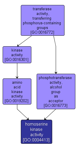 GO:0004413 - homoserine kinase activity (interactive image map)