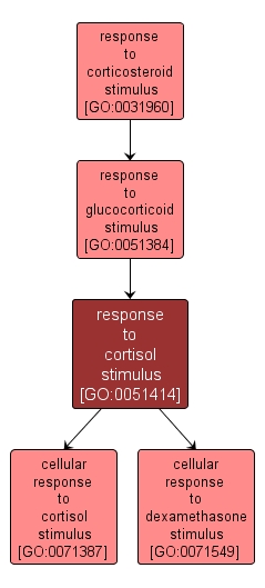 GO:0051414 - response to cortisol stimulus (interactive image map)
