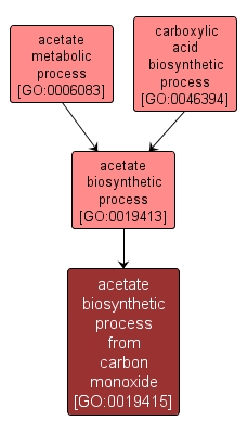 GO:0019415 - acetate biosynthetic process from carbon monoxide (interactive image map)