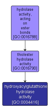 GO:0004416 - hydroxyacylglutathione hydrolase activity (interactive image map)