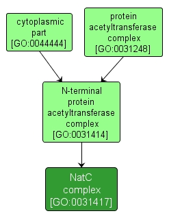 GO:0031417 - NatC complex (interactive image map)