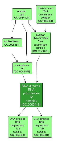 GO:0000418 - DNA-directed RNA polymerase IV complex (interactive image map)