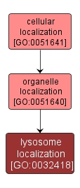 GO:0032418 - lysosome localization (interactive image map)