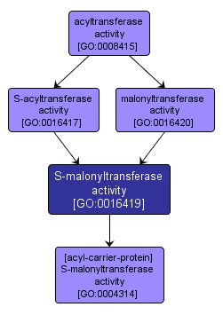 GO:0016419 - S-malonyltransferase activity (interactive image map)