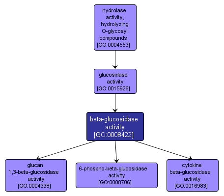 GO:0008422 - beta-glucosidase activity (interactive image map)
