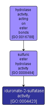 GO:0004423 - iduronate-2-sulfatase activity (interactive image map)