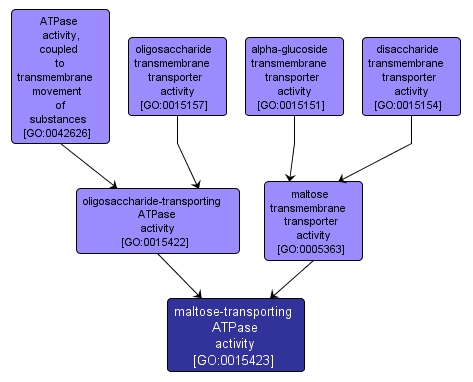 GO:0015423 - maltose-transporting ATPase activity (interactive image map)