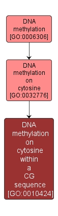 GO:0010424 - DNA methylation on cytosine within a CG sequence (interactive image map)