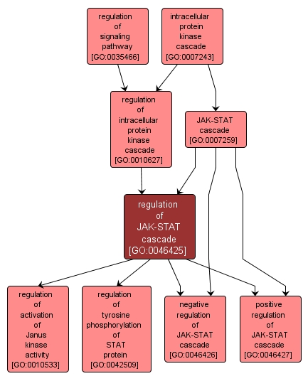 GO:0046425 - regulation of JAK-STAT cascade (interactive image map)