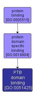 GO:0051425 - PTB domain binding (interactive image map)