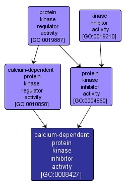 GO:0008427 - calcium-dependent protein kinase inhibitor activity (interactive image map)