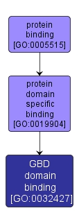 GO:0032427 - GBD domain binding (interactive image map)