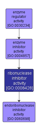 GO:0008428 - ribonuclease inhibitor activity (interactive image map)