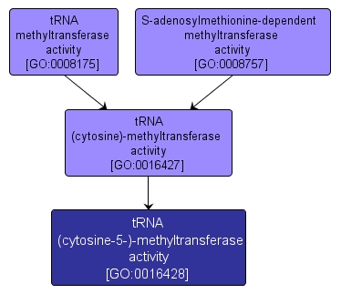 GO:0016428 - tRNA (cytosine-5-)-methyltransferase activity (interactive image map)