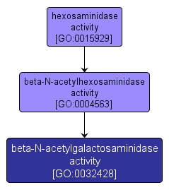 GO:0032428 - beta-N-acetylgalactosaminidase activity (interactive image map)