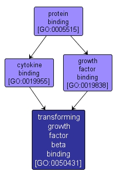 GO:0050431 - transforming growth factor beta binding (interactive image map)